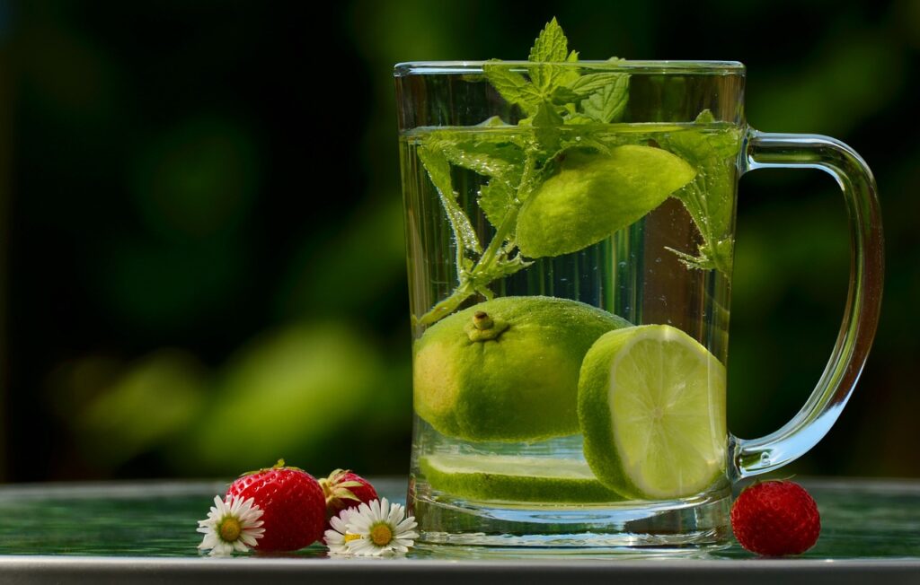 Apple Cider Vinegar Mint Lemon