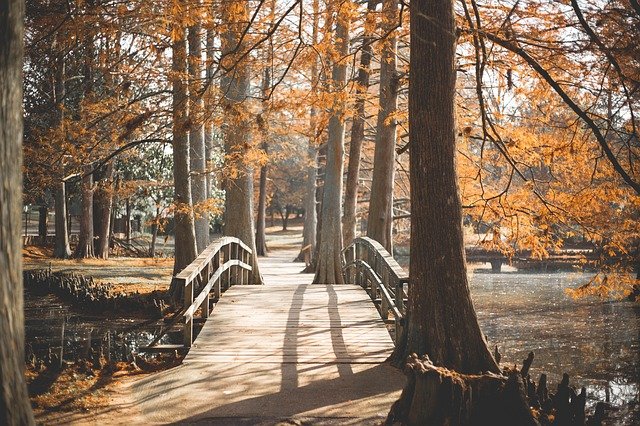 Bridge crossing in the woods during the Autumn season.