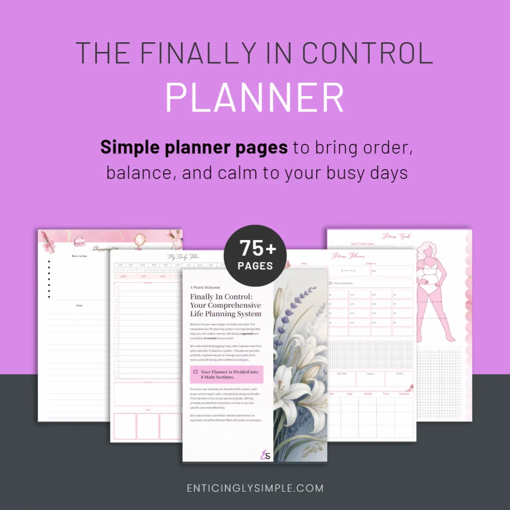 finally-in-control-planner